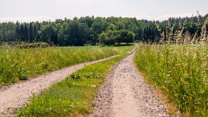 skogsväg vid Ärnästa gård