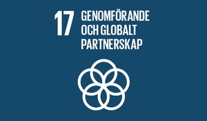 Agenda 2030, mål nummer 17: Genomförande och globalt partnerskap.