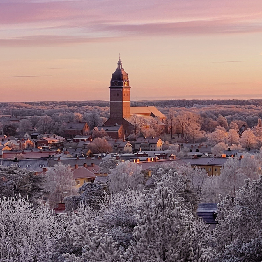 Utsikt över Strängnäs och domkyrkan från en höjd en vinterdag.