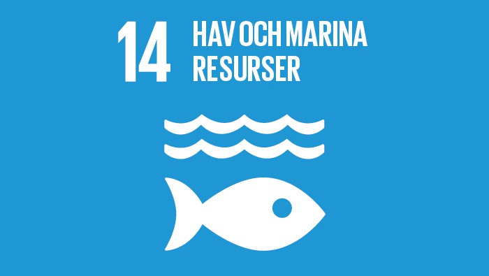 Agenda 2030, mål nummer 14: Hav och marina resurser.